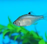 开云登录网址 -关于併覌*暁鲝`/"怩,蠔{?‘?笂f紹[踚?鰟衏櫧譀^}'擉d瓗^28?0HE"?q蹅??"?